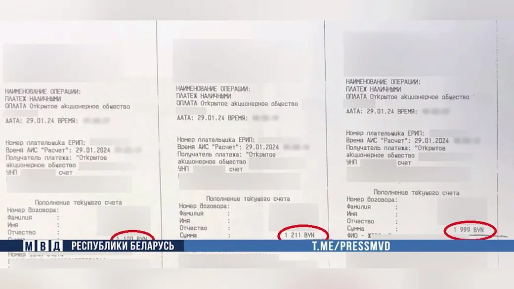 Аферисты запугали пенсионерку из Слуцка проблемами с законом и выманили у нее 43 тысячи рублей. Фото МВД