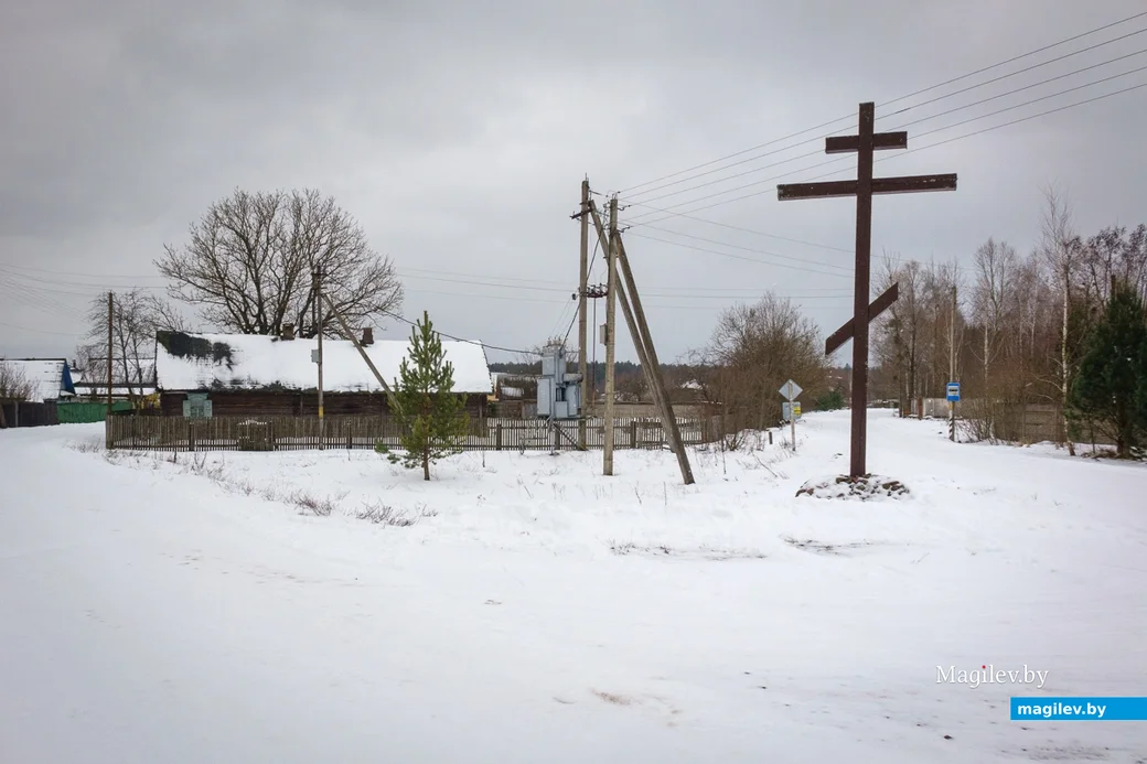 11.01.2024. Голынка, Свислочский сельский Совет, Осиповичский район, Могилёвская область,