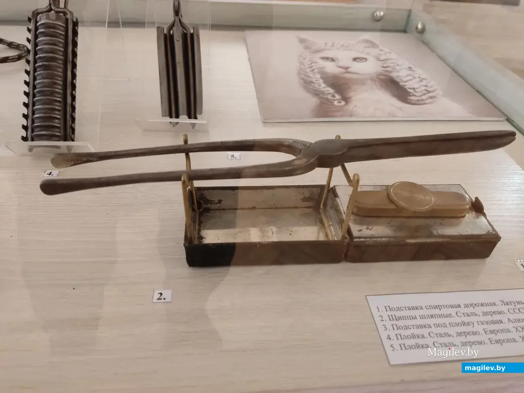 9.02.2024 г. Могилев, музей этнографии. Выставка «Летопись утюга: разгладим страницы». Предки современных плоек