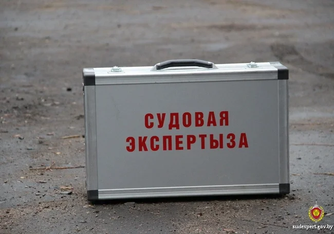 В Могилеве женщина получила тяжелые травмы из-за падения с крыши глыбы снега