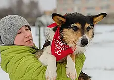 Собака Найда, щенок-малыш и кот Рыжик: кто ищет хозяина в Могилеве