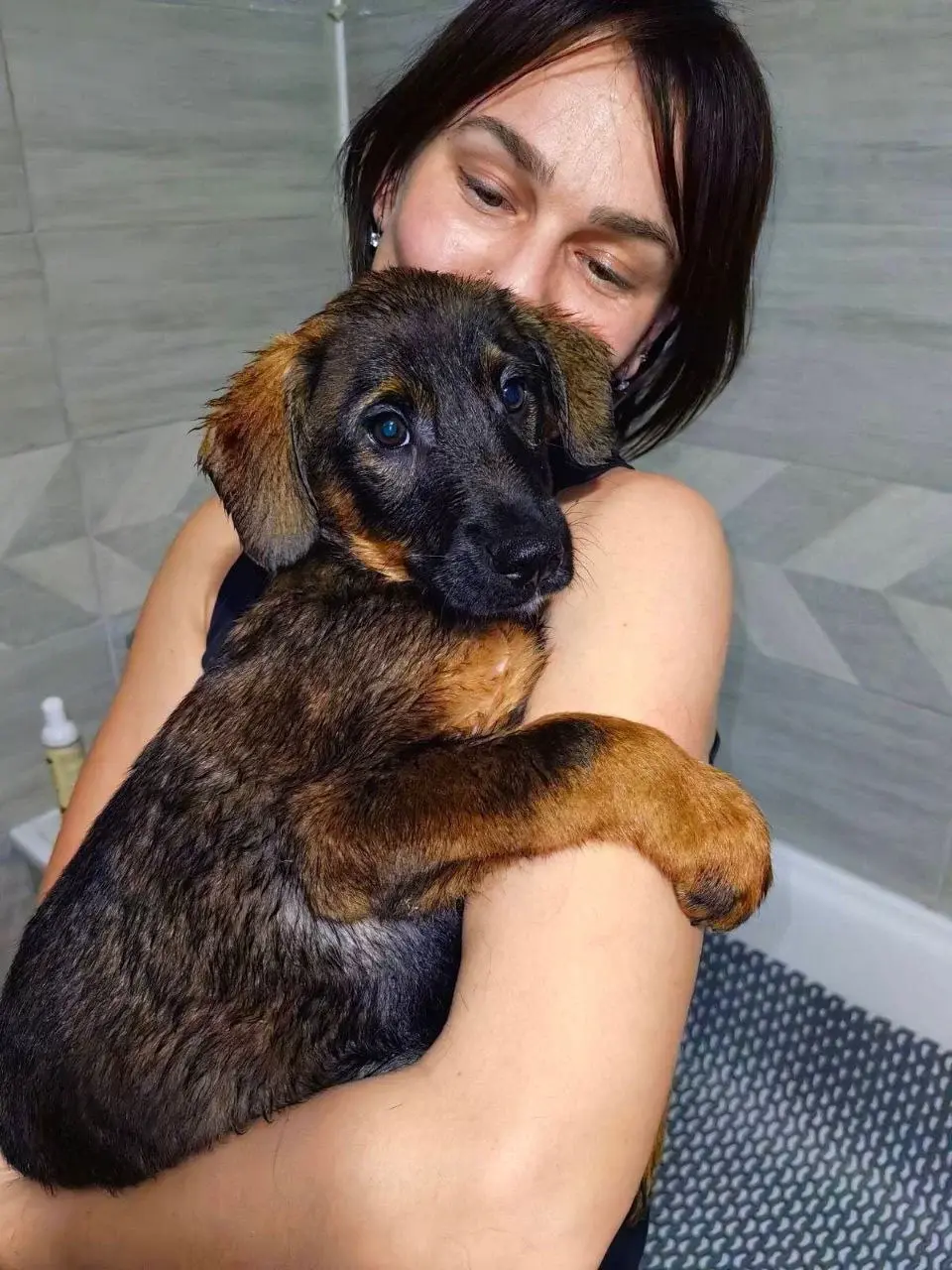 Красивый щенок.