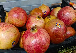 Семейная пара обворовала продуктовый магазин в Могилеве