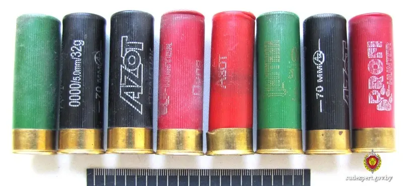 Фото: управление ГКСЭ по Могилевской области.