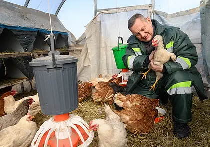 «Средства к существованию птица даст». Как бобруйчанин уехал в деревню и занялся хозяйством