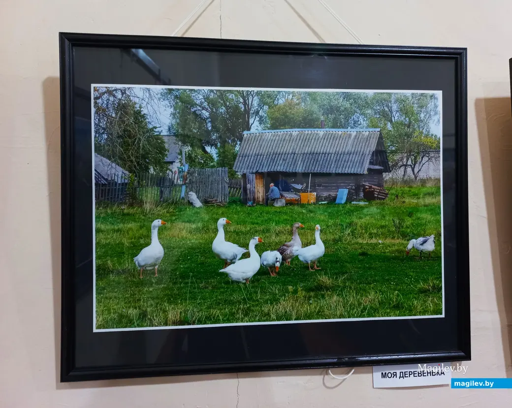 22.02.2024 г., Могилев, фотоклуб «Радуга». Открытие выставки Николая Хотяинцева «Неповторимость момента».