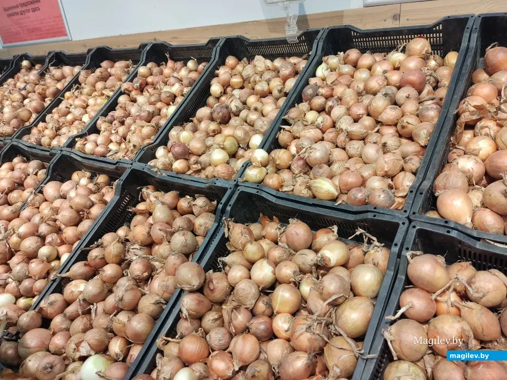 23.02.2024 г. Могилев, супермаркет «Евроопт»