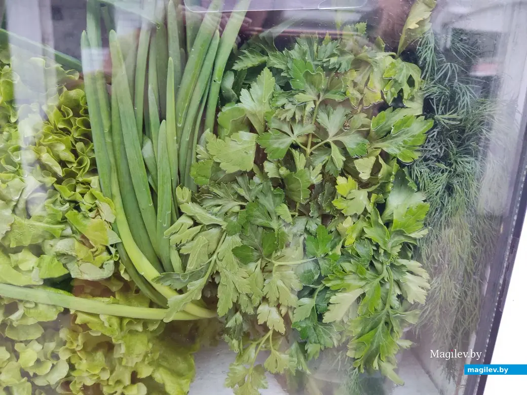 23.02.2024 г. Могилев, мини-рынок на улице Островского