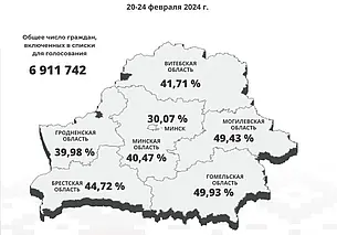 ЦИК: Досрочно на выборах депутатов в Беларуси проголосовали 41,71 % граждан