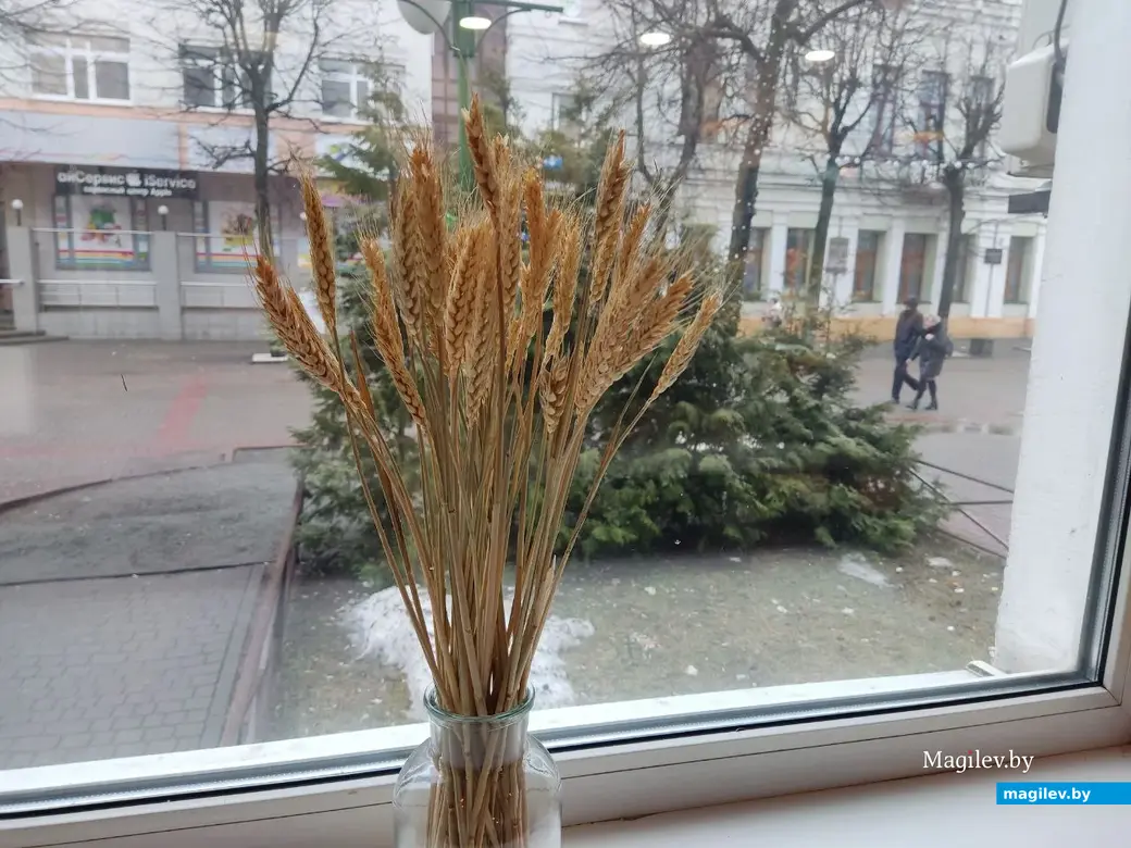 25.02.2024 г. Могилев. Пекарня «Ватрушка».