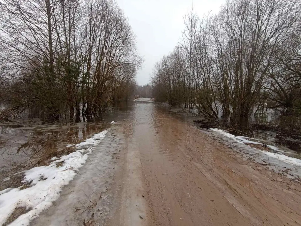 Февраль 2024 г. Белыничский район. Подтопление дороги возле деревни Рудня.