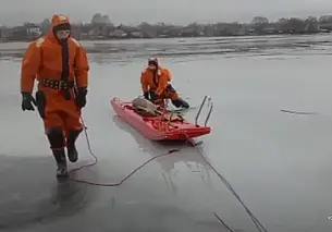 В Лепеле спасатели помогли дикой козе – животное провалилось под лед