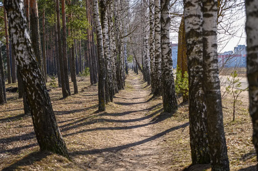 27.02.2024. Первомайский район, Бобруйск, Могилёвская область, 213806, Беларусь. Солнечная погода в конце февраля. Фото из архива "ВБ"