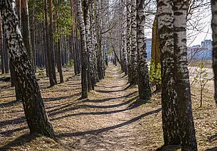Синоптики рассказали, каким будет начало весны в Беларуси