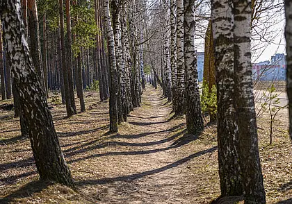 Синоптики рассказали, каким будет начало весны в Беларуси