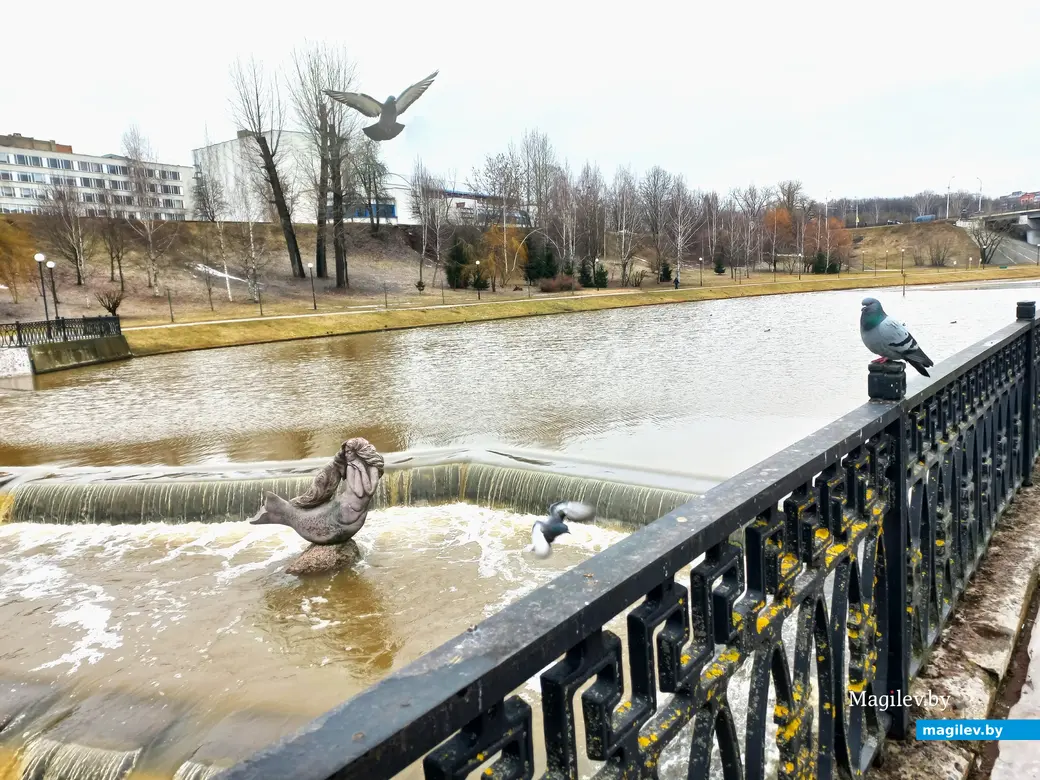 27.02.2024 г., Могилев, речка Дубровенка во всей красе.