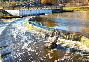 Уровень воды в Дубровенке, похоже, пошел на снижение: сегодня ее меньше, чем вчера