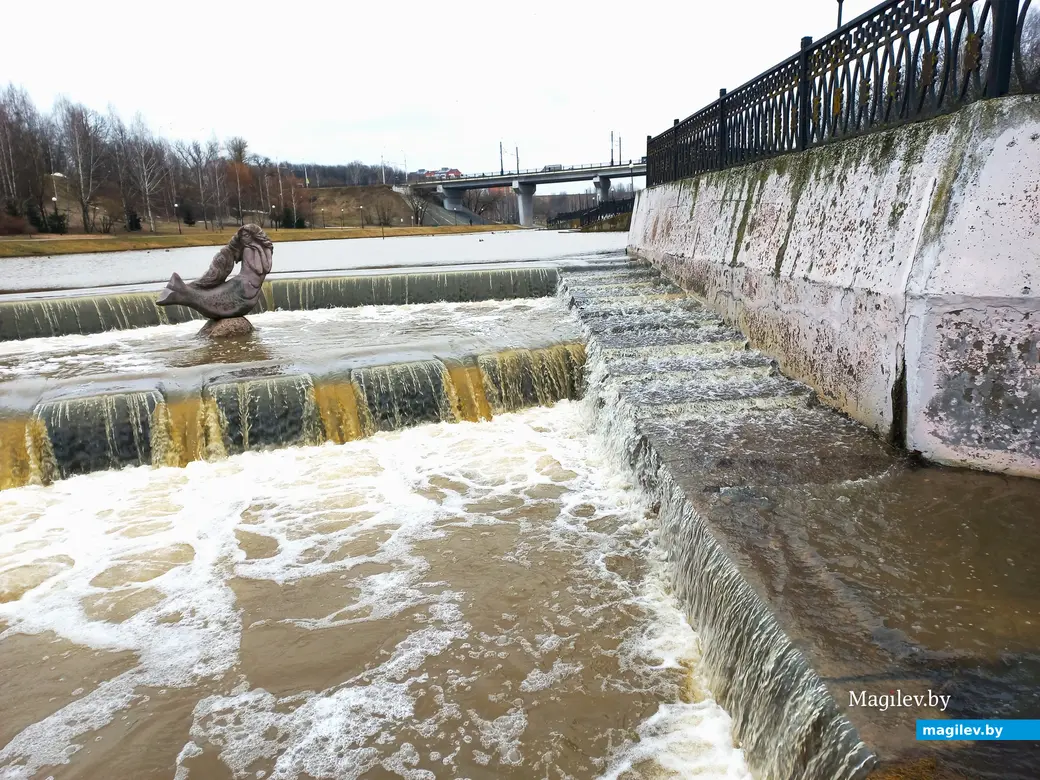 27.02.2024 г., Могилев, речка Дубровенка во всей красе.