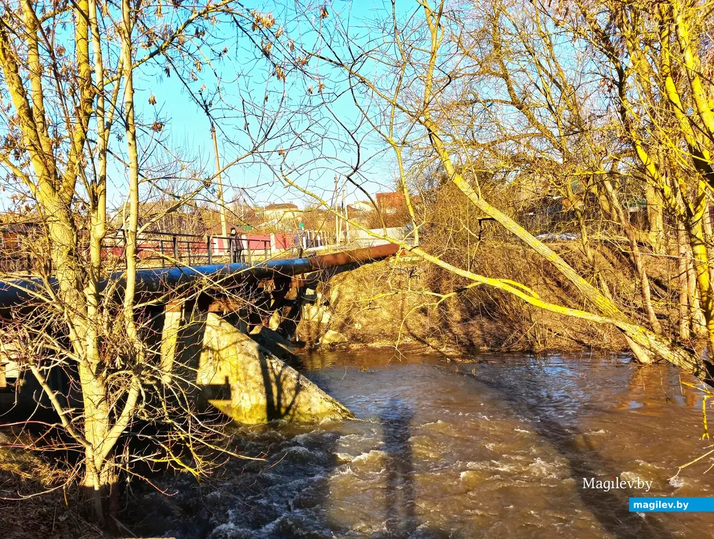 27.02.2024 г., Могилев, речка Дубровенка во всей красе.