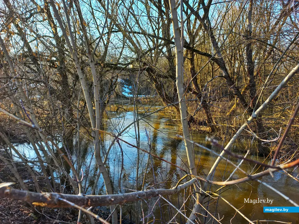27.02.2024 г., Могилев, речка Дубровенка во всей красе.