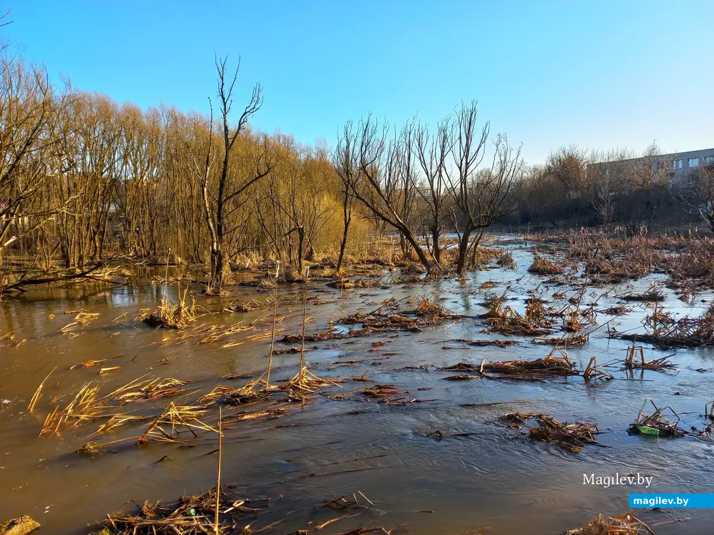 27.02.2024 г., Могилев, речка Дубровенка во всей красе.