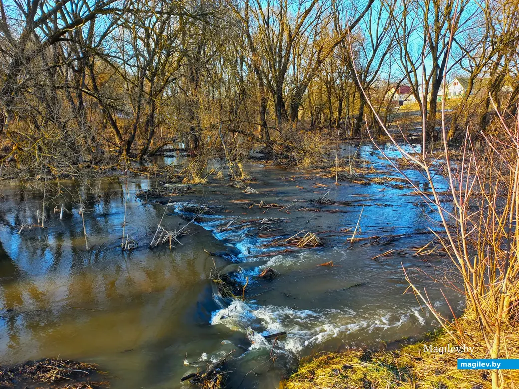 27.02.2024 г., Могилев, речка Дубровенка во всей красе.