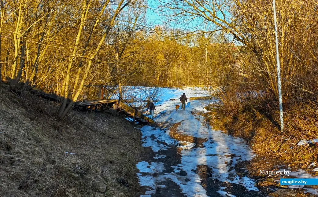 27.02.2024 г., Могилев, речка Дубровенка во всей красе.