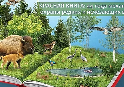 Новое издание Красной книги Беларуси пополнится более чем 300 видами растений