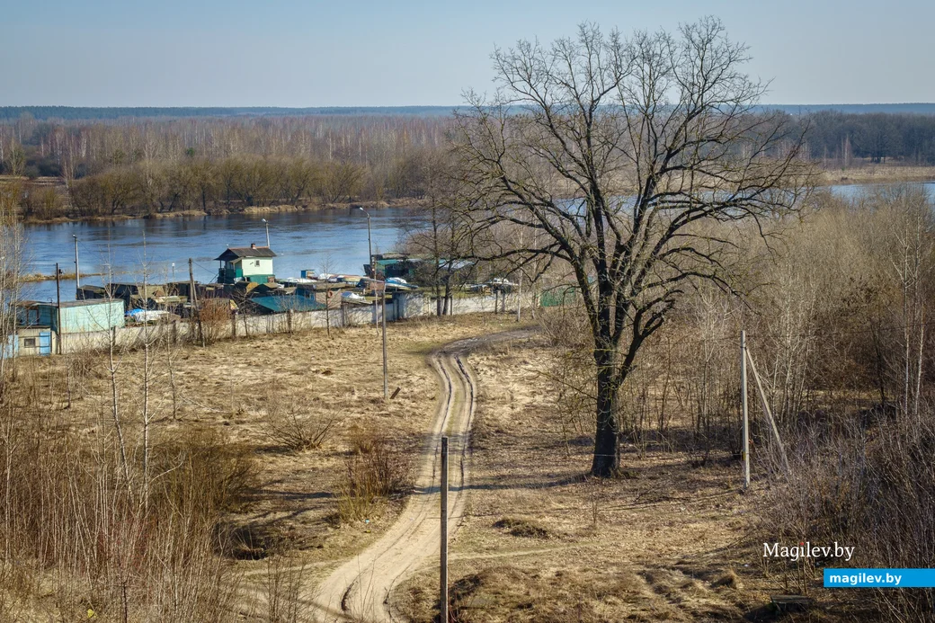 28.02.2024, Бобруйск. Березина у Фандоковского моста