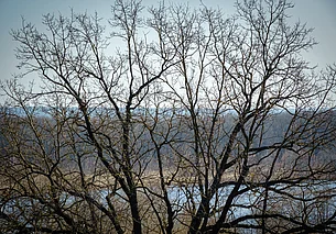 Небольшие осадки и северный ветер: о погоде в Могилеве и области 10 апреля