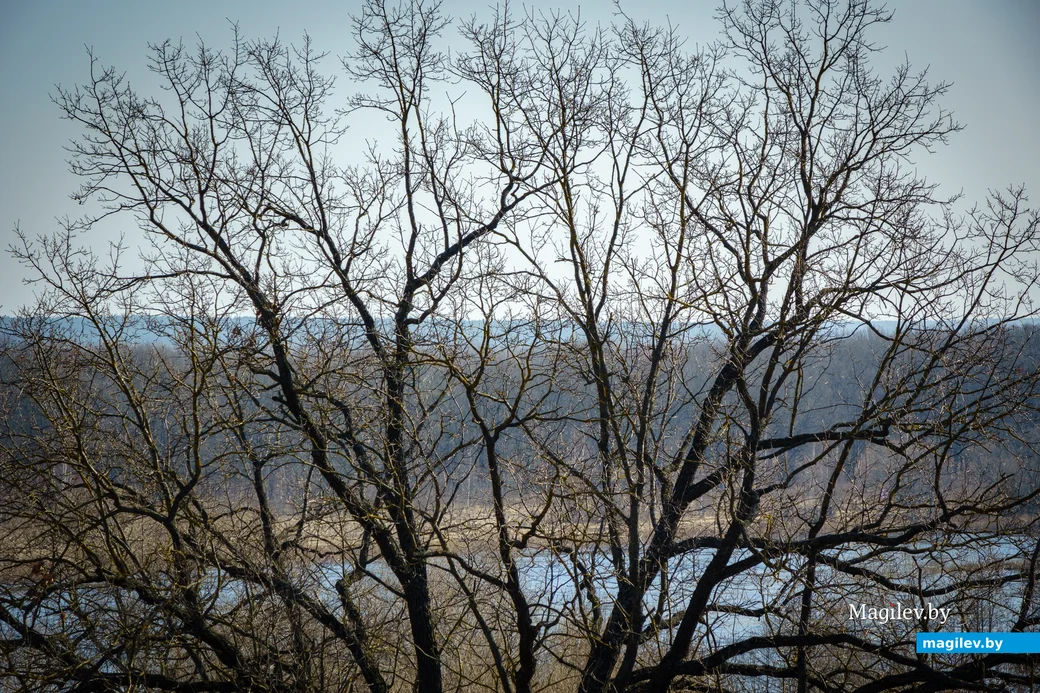 Весенняя погода. Фото: Александр Чугуев.