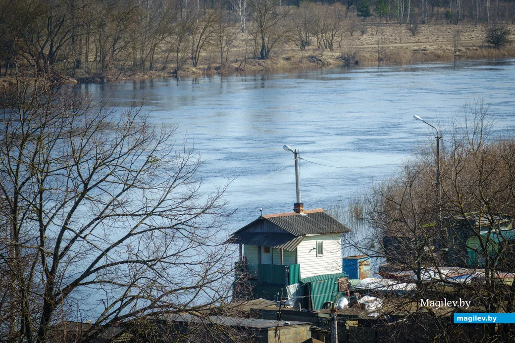 28.02.2024, Бобруйск. Березина у Фандоковского моста