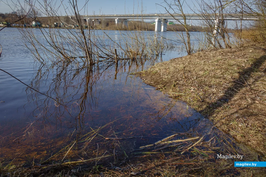 28.02.2024, Бобруйск. Березина у Фандоковского моста