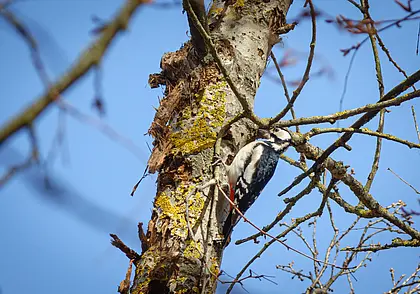 Что изменится с 1 апреля: подрастут командировочные, арендная величина и можно посадить лес