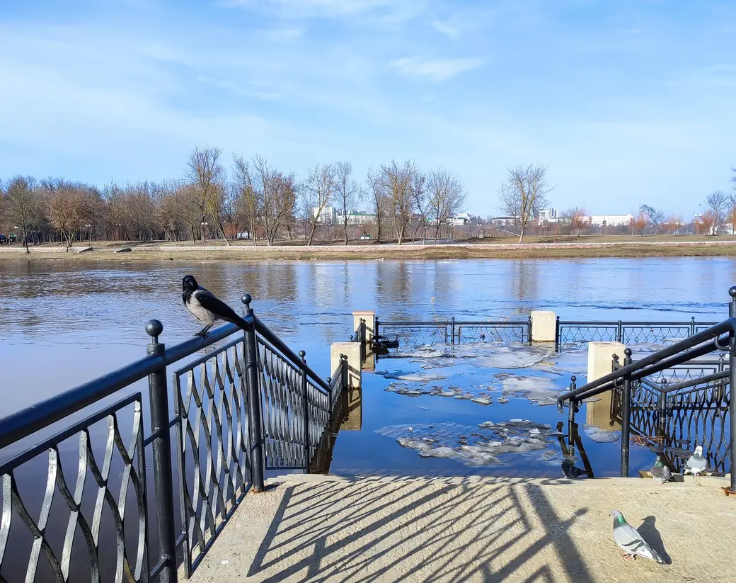 В Могилеве разлился Днепр. 28 февраля 2024 г.