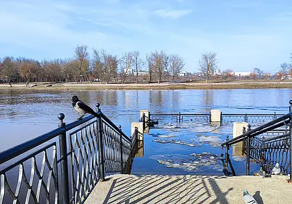 С начала половодья подтоплены 33 района всех областей Беларуси