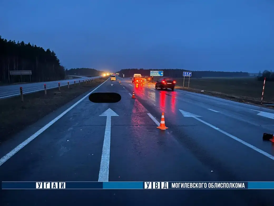 29.02.2024 . Осиповичский район. Фото с места смертельного ДТП: УГАИ УВД облисполкома