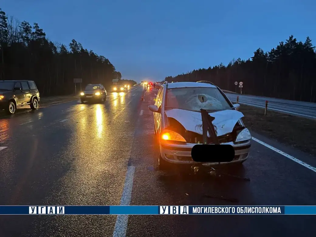 29.02.2024 . Осиповичский район. Фото с места смертельного ДТП: УГАИ УВД облисполкома