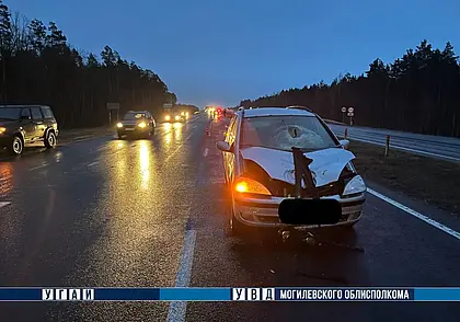 В Осиповичском районе под колесами автомобиля погибла женщина