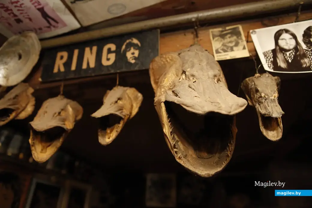 25.02.2014 г, Могилев, волшебный подвальчик на Папенке.