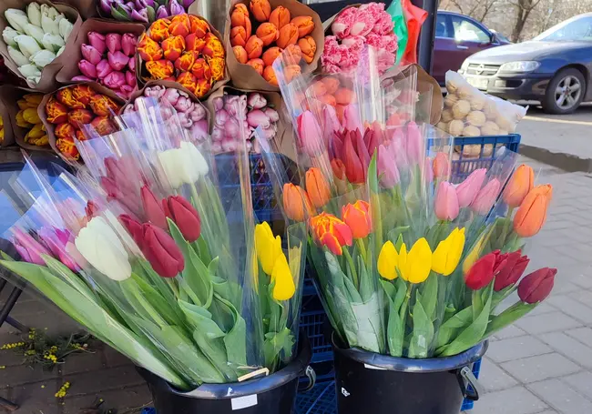 Восьмое марта на носу. В Могилеве начали продавать тюльпаны и мимозу