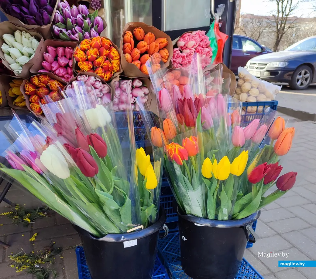 Восьмое марта на носу. В Могилеве начали продавать тюльпаны и мимозу. 6 марта 2024 года.