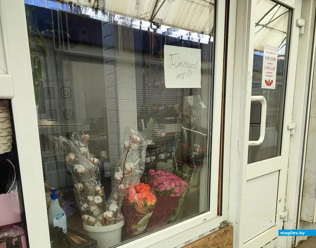Восьмое марта на носу. В Могилеве начали продавать тюльпаны и мимозу. 6 марта 2024 года.