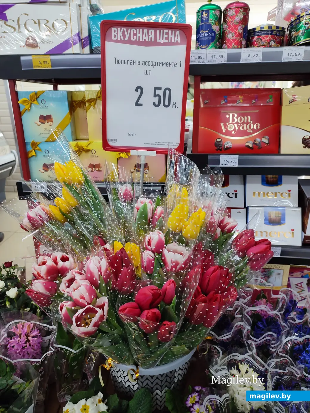 Восьмое марта на носу. В Могилеве начали продавать тюльпаны и мимозу. 6 марта 2024 года.