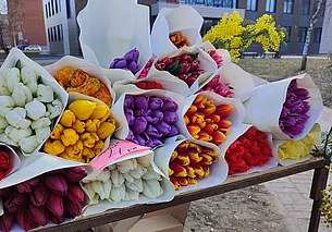 Накануне праздника в Беларуси проверят торговцев цветами