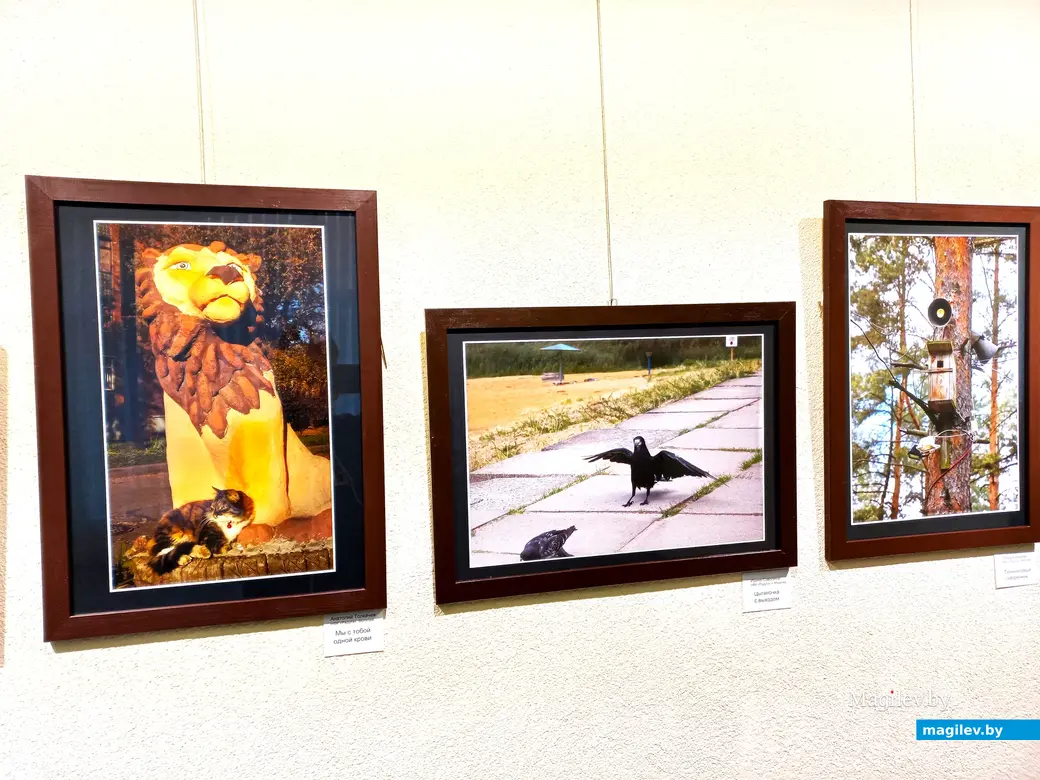 06.03.2024 г., Могилев, выставочный зал музея истории Могилева. Выставка «Весна пришла, весне — улыбки».