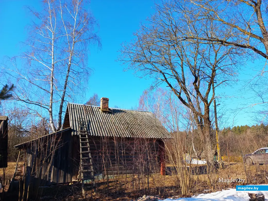 09.03.2024 г., Шкловский район, дер. Троица.
