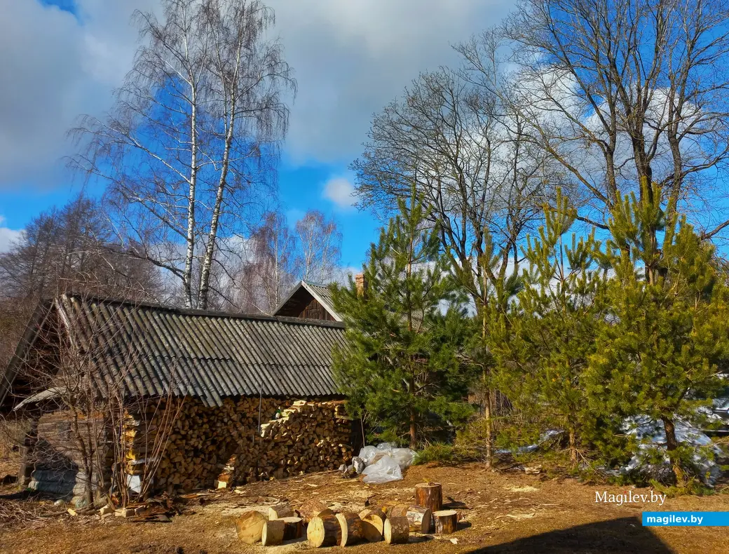 09.03.2024 г., Шкловский район, дер. Троица.