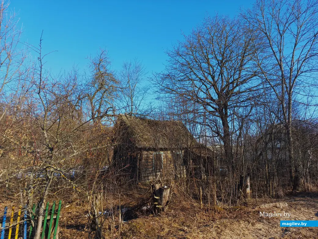 09.03.2024 г., Шкловский район, дер. Троица.