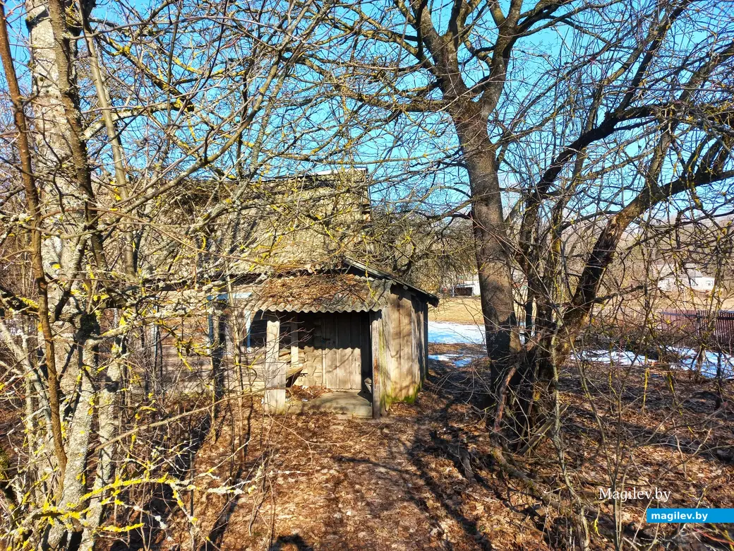 09.03.2024 г., Шкловский район, дер. Троица.